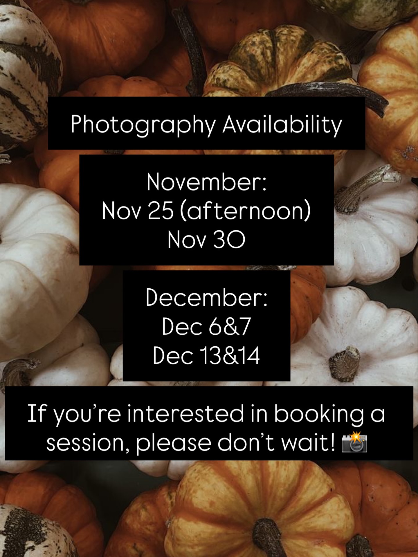 Current availability for photo sessions. Thank you to all my incredible clients for keeping me busy! I appreciate every one of you. 🤍